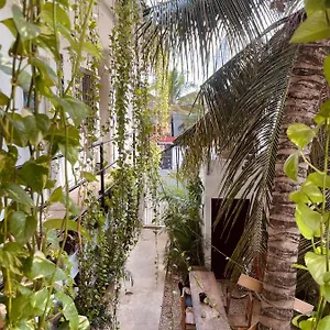 Anana Coliving México